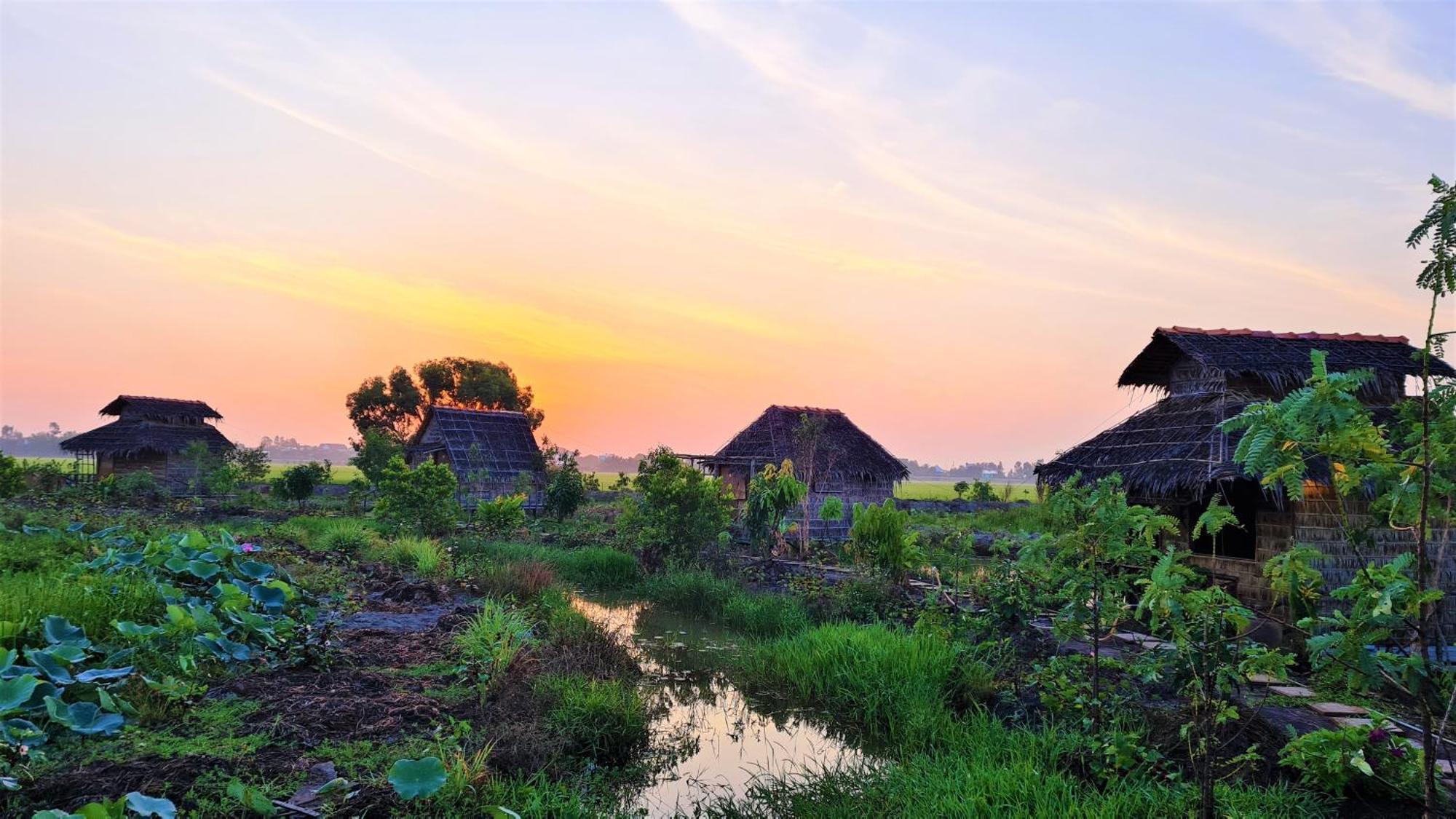 Viet Mekong Farmstay Tràm Chim المظهر الخارجي الصورة